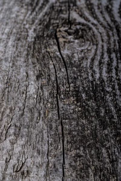 Texture de vieux panneau de bois gris pour le fond — Photo