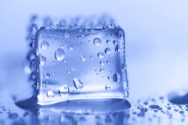 Кольорові кубики льоду на мокрому скляному столі. Вибірковий фокус. Неглибокий d — стокове фото
