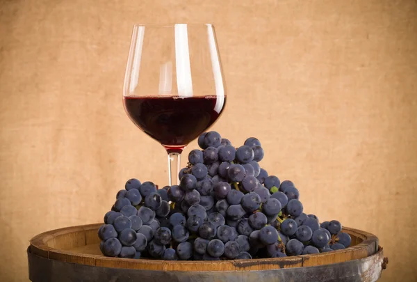 Hordó, borospohár néhány vörös bor és érett szőlőből készült bor — Stock Fotó