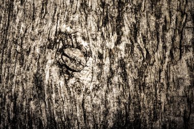 Arka plan için eski gri ahşap tahta dokusu. Tonda