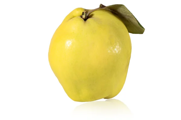 Uma fruta fresca de marmelo isolada sobre fundo branco. Com sombra — Fotografia de Stock