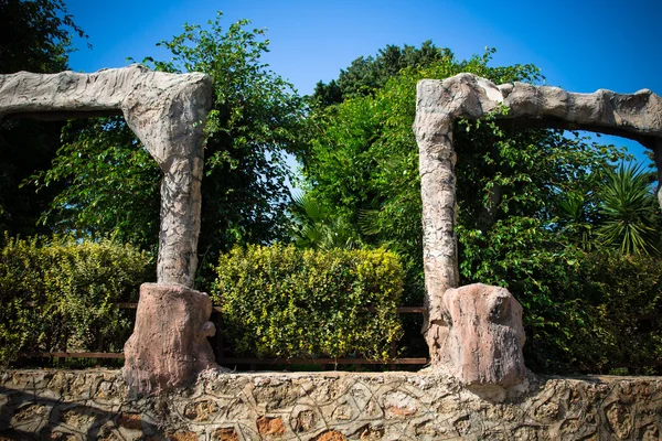 Fragment of stone wall and different kinds of fresh green plants — Stock Photo, Image