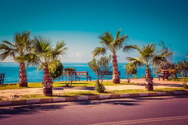Güzel set Alanya Türkiye'de spor ve yürüyüş için. Hedef