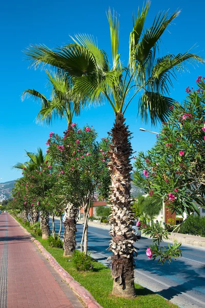 Beautifull embankment for walking and sport in Alanya Turkey — Stock Photo, Image