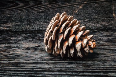 Çam kozalağı bir siyah tablo veya arka plan gibi kurulu. Tonda