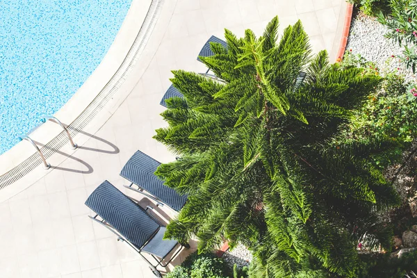 Fragment of hotel territory in Alanya Turkey. Blue water in a sw — Stock Photo, Image