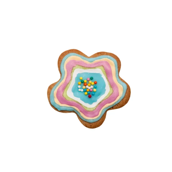 Homemade gingerbread cookie with colored frosting isolated on a — Stock Photo, Image