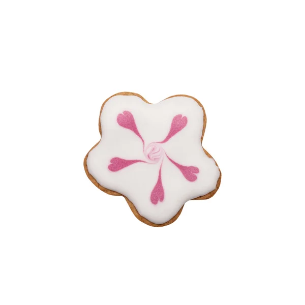 Homemade gingerbread cookie with colored frosting isolated on a — Stock Photo, Image