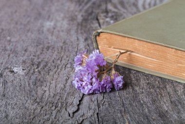 Old opened book and dry flower - romantic composition on a old g clipart