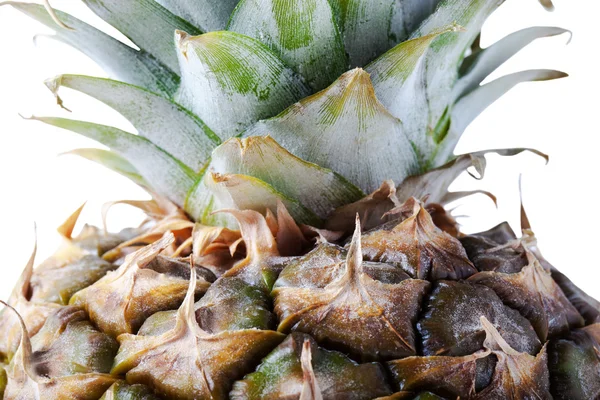 Ananas isolerad på en vit bakgrund — Stockfoto