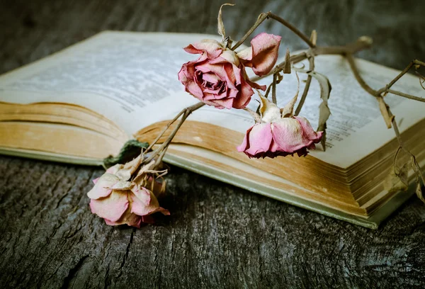 Old opened book and dry flower - romantic composition on a old g