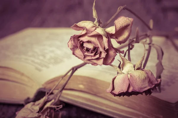 Altes aufgeschlagenes Buch und trockene Blume - romantische Komposition auf einem alten g — Stockfoto