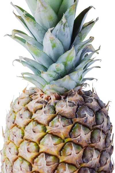 Ananas isolato su fondo bianco — Foto Stock