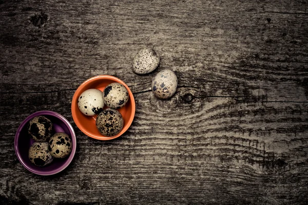 Composition with quail eggs. Wooden texture for background. Tone — Stock Photo, Image