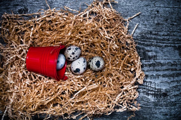 Composition with quail eggs. Wooden texture for background. Tone — Stock Photo, Image