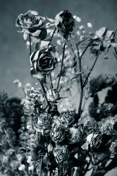 Bouquet di fiori secchi su fondo di iuta. Concentrazione selettiva. Per — Foto Stock