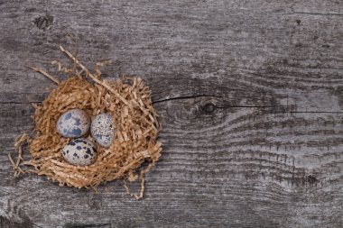 Bıldırcın yumurtası ile kompozisyon. Arka plan için Ahşap dokusu