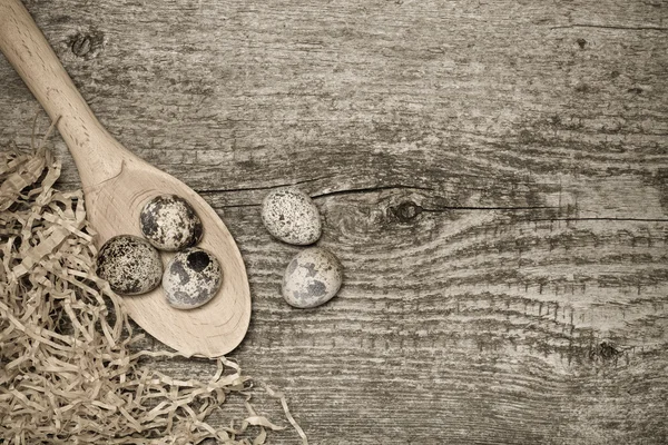 Composition with quail eggs. Wooden texture for background. Tone — Stock Photo, Image