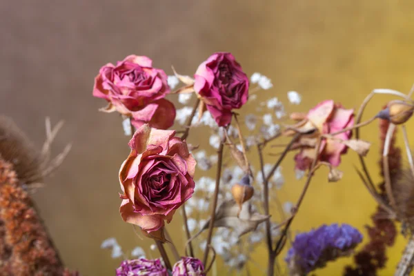 Bouquet de fleurs sèches sur fond de toile de jute. Concentration sélective — Photo