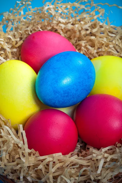 Пасхальные яйца в гнезде на голубом фоне. Toned — стоковое фото
