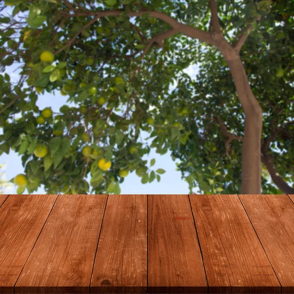 Lemon tree over old dark wooden table or board. Blue sky like na — Stock Photo, Image