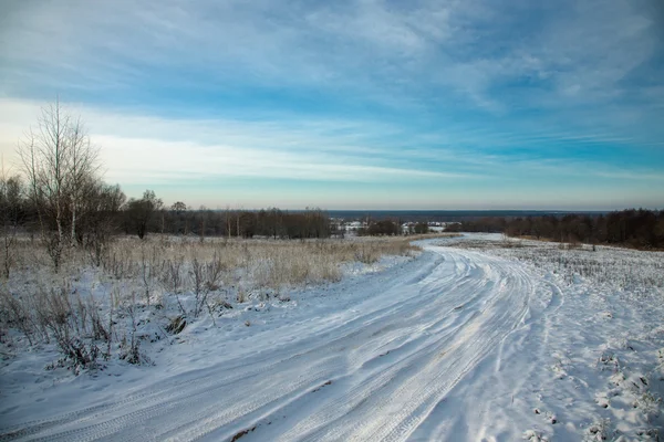 Invierno paisaje provincial ruso. Enfoque selectivo. Tonificado —  Fotos de Stock