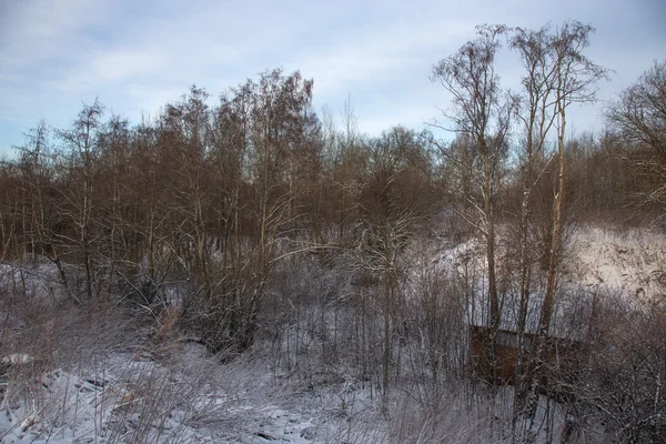 Inverno paisagem provincial russa. Foco seletivo — Fotografia de Stock