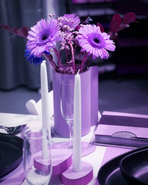 Romantik bir akşam yemeği için masa, bir buket pembe Gerbera çiçeği, beyaz mumlar, kutlama için bir bardak. Görüntü eflatun, mor menekşe rengi.