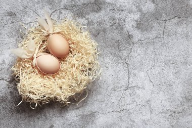 Paskalya yumurtaları ve beton bir arka planda yuvada tavşan kulakları.