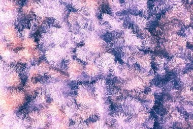 Yılbaşı şenlikli, parlak, rengarenk arka plan, bayram dekoru, altın pembemsi lacivertten yapılmış köknar dalları.