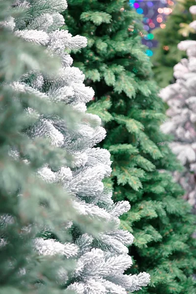 Fondo con textura de ramas de árbol de Navidad año nuevo verde artificial y color blanco —  Fotos de Stock