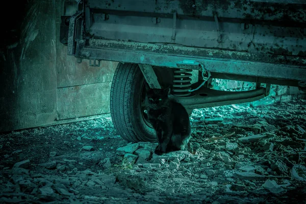 Děsivé tajemné abstraktní pozadí v hororovém stylu s podivným zeleným světlem a nočními stíny, černá mystická strašlivá paranormální kočka se zelenýma očima sedí na opuštěných troskách — Stock fotografie