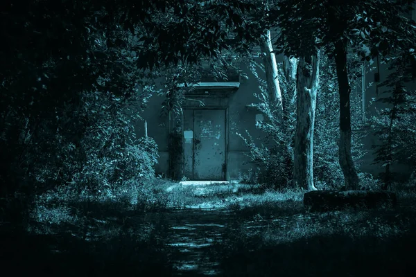 Horror Concept Path Entrance House Door Scary Dark Night Forest — Stockfoto