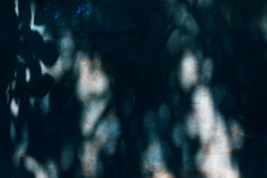 Korku tarzında soyut, karanlık, gizemli, soyut bir arka plan. Garip bir ışık ve gece. Ağaçların hayaletli mavi gölgeleri eski bir evin beton duvarında.