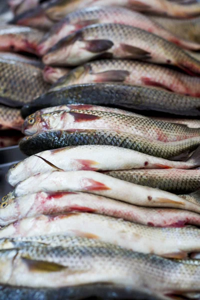 Pescado fresco en el mercado —  Fotos de Stock