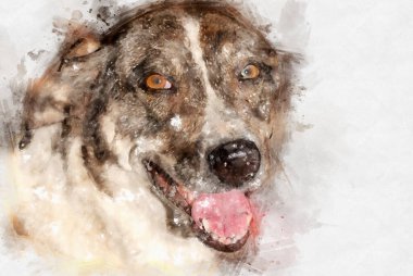 Beyaz arka planda sevimli köpeğin güzel suluboya çizimi.
