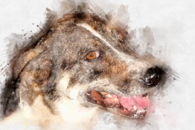 Beyaz arka planda sevimli köpeğin güzel suluboya çizimi.
