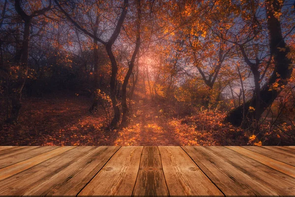 Magical Sun Light Autumn Forest Empty Wooden Table Natural Template — Foto Stock