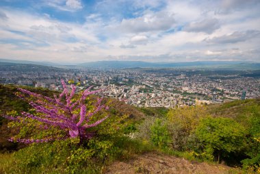 Gürcistan, Tiflis - 8 Mayıs 2021: Tiflis 'in panoramik manzarası. Georgia 'nın başkenti.