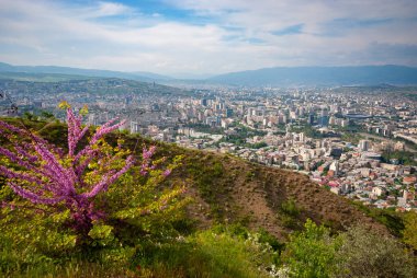 Gürcistan, Tiflis - 8 Mayıs 2021: Tiflis 'in panoramik manzarası. Georgia 'nın başkenti.