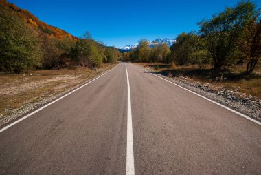 Sonbahar yolu, seyahat, tatil, güzel ruh hali..