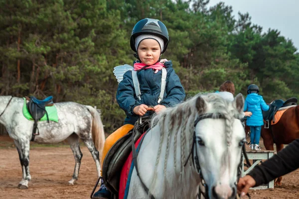 Little Girl White Pony Background Nature Jockey Hippodrome Horseback Riding — Stock Photo, Image