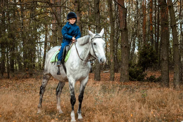 Little Boy Jockey Cap White Adult Horse Background Nature Jockey — Stock Photo, Image