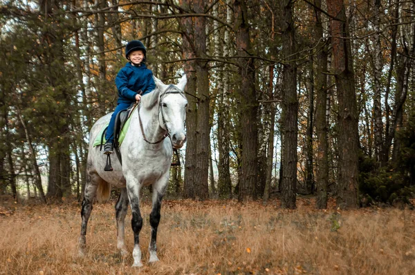 Little Boy Jockey Cap White Adult Horse Background Nature Jockey — Stock Photo, Image