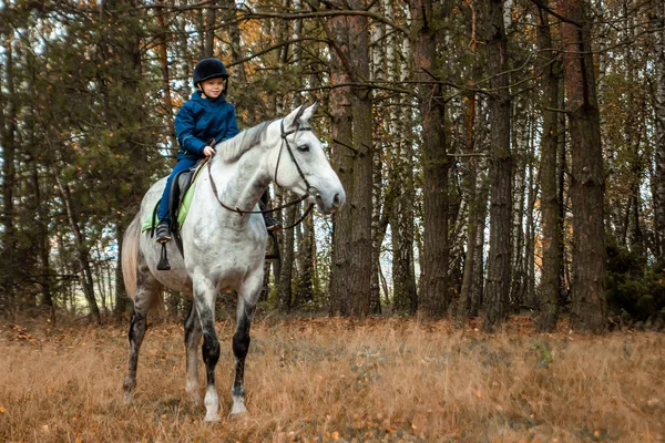 Little Boy Jockey Cap White Adult Horse Background Nature Jockey — Stock Photo, Image