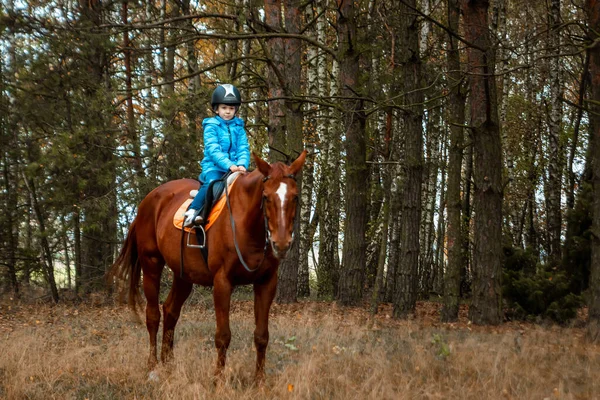 Little Girl Adult Brown Horse Background Nature Jockey Epodrome Horseback — Stock Photo, Image