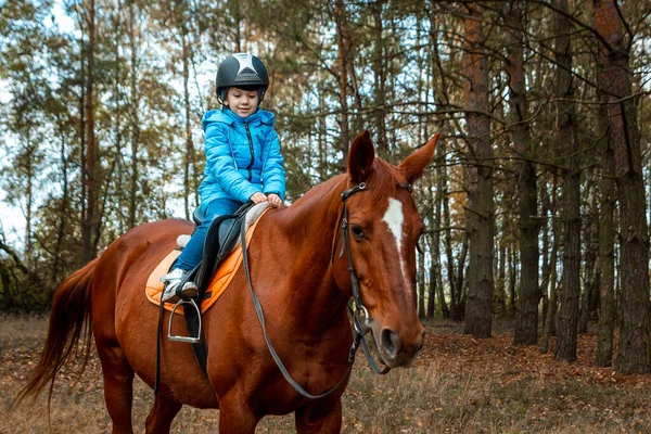 Little Girl Adult Brown Horse Background Nature Jockey Epodrome Horseback — Stock Photo, Image