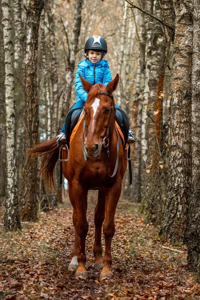 Little Girl Adult Brown Horse Background Nature Jockey Epodrome Horseback — Stock Photo, Image