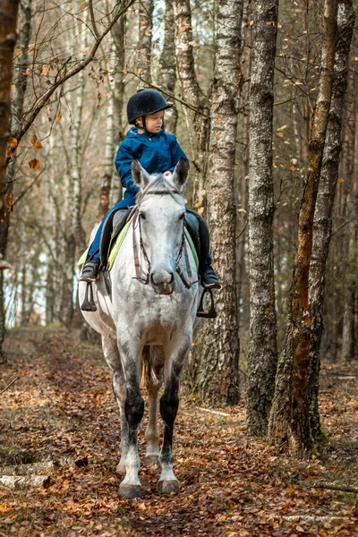 Little Boy Jockey Cap White Adult Horse Background Nature Jockey — Stock Photo, Image