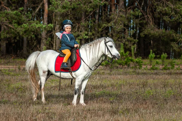 Menina Pônei Branco Fundo Natureza Jóquei Hipódromo Equitação — Fotografia de Stock